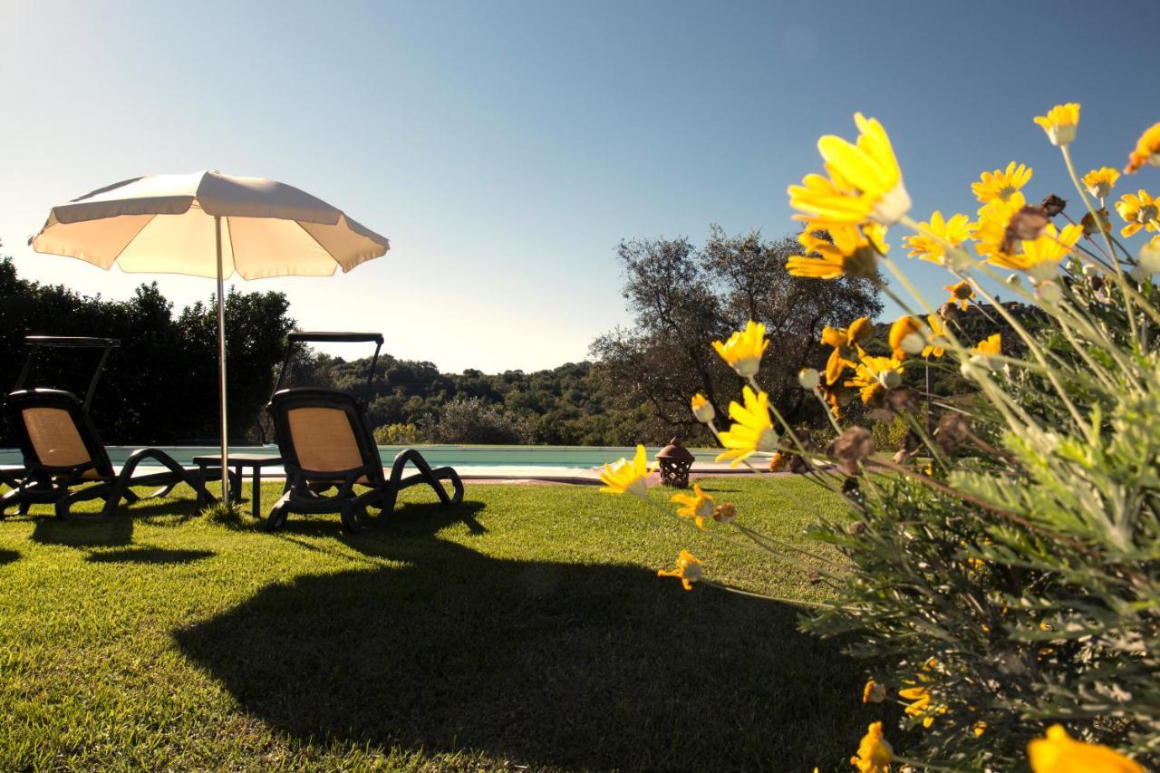 Poggio Sasseta Villa มอนเตียโน ภายนอก รูปภาพ